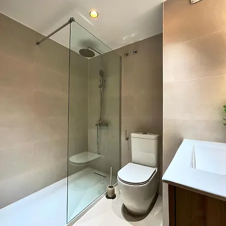 Olive Penthouse Malaga